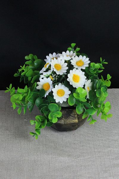 moryconcept Papatya Stone Gold Shaded Flower Pot 10 Τεμάχια Daisy Heads τυλιγμένα με πράσινο