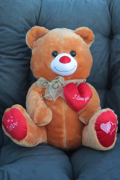 moryconcept Cute Brown Plush Teddy Bear with Heart 50 cm Quality Lover Gift