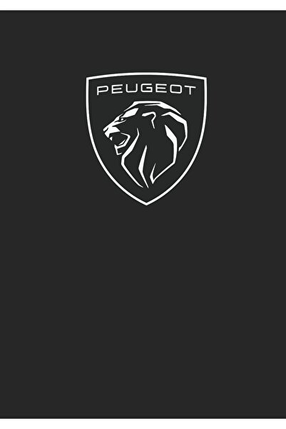 Genel Markalar KAĞIT PASPAS OTO SUYA DAYANIKLI 50 ADET 35*50 EBAT KALIN KAĞIT