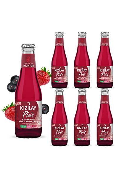 Kızılay KIZILAY MADEN SUYU DOĞAL KARAMÜRVERLİ 200 ML X 6 ADET