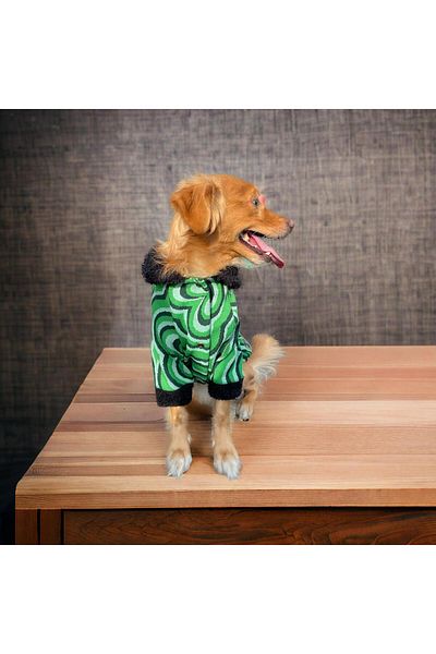Barneystore Cat Dog Special Series Knitwear Cardigan (Snapback)
