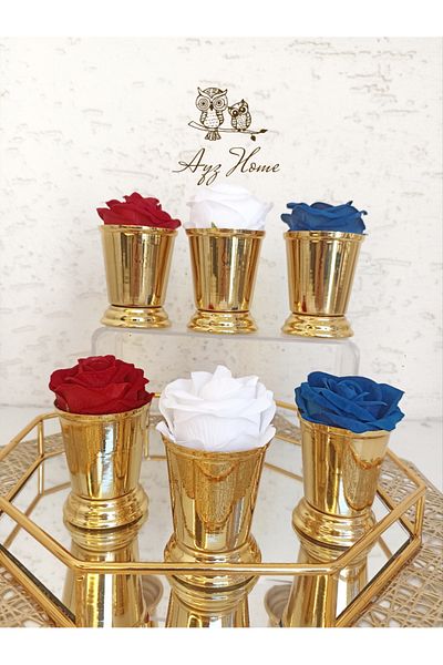 AYZ HOME ROSE BUCKET / COFFEE PRESENTATION ROSE BUCKET - 6 PIECES