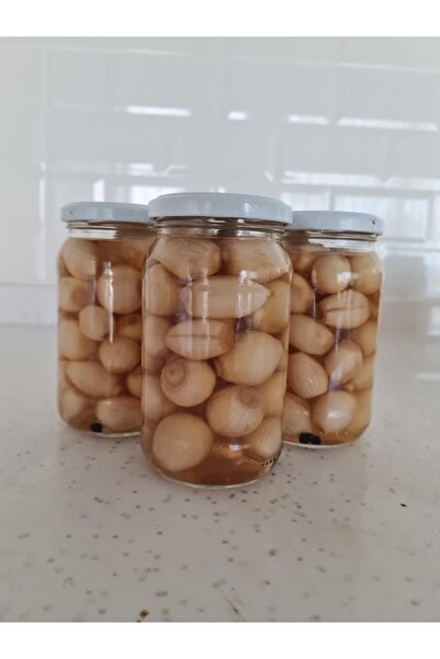 Egenin ince lezzetleri GÜMÜŞ SOĞAN TURŞUSU