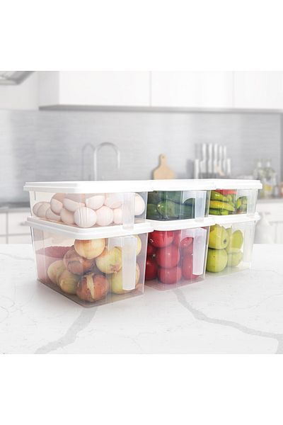 DEMPA 6 Handled Organizer - 8Lt and 4Lt Storage Container