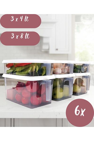 DEMPA 6 Handled Organizer - 8Lt and 4Lt Storage Container