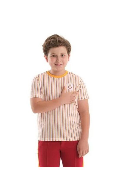 Galatasaray White Striped Licensed Kids T-Shirt - Lion Wooden Boxed Gift