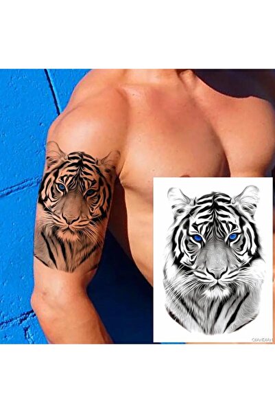 Mecit Tuhafiye Mavi Gözlü Kaplan Geçici Dövme