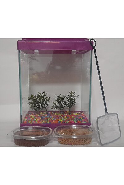 Sega Pet Mini Akvaryum Seti Küçük Mor Akvaryum 20*20*15 Cm-Renkli Taş-2 Adet ...