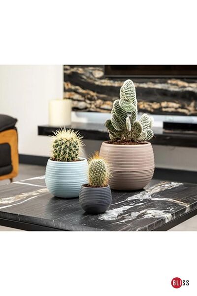 Bliss 36' lı Kaktüs Saksı No 0,13 Lt Minik Saksı