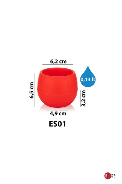 Bliss 36' lı Kaktüs Saksı No 0,13 Lt Minik Saksı