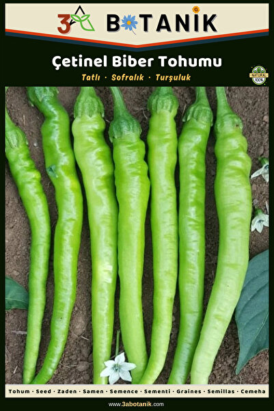 3A BOTANİK Çetinel Biber Tohumu, Yerli Ve Sürdürülebilir Tohum