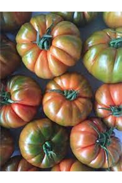 Köy Tohumları 200 Adet Tohum Organik Varton İri Köy Domatesi Tohumu Hediye To...