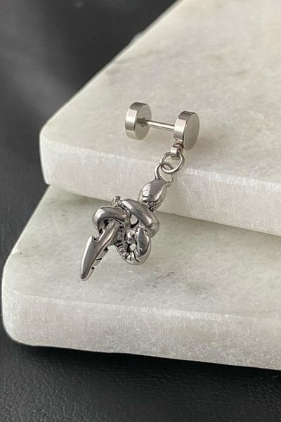 Jaida Moda Unisex Gothic 316l Surgical Steel Tunnel Look Snake Figure Dangle Nail Earrings