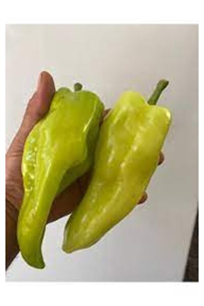Köy Tohumları 200 Adet Tohum Nadir Yeşil Acı Kale Biberi Biber Tohumu Organik Hasat