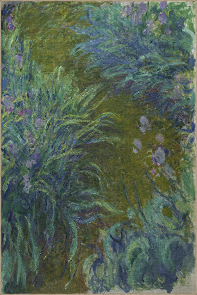 Rugs Modern Halı Mavi Yeşil Temalı Süsen Çiçek Desenli Kreatif Modern Dekorat...