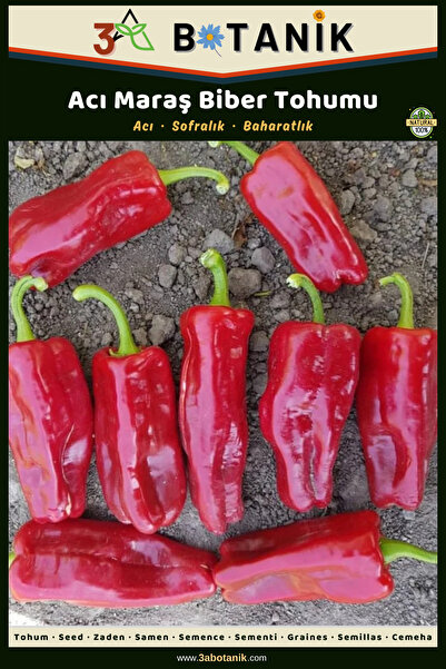 3A BOTANİK Acı Maraş Biber Tohumu, Yerli Ve Sürdürülebilir Tohum, 2 Gram/240-...