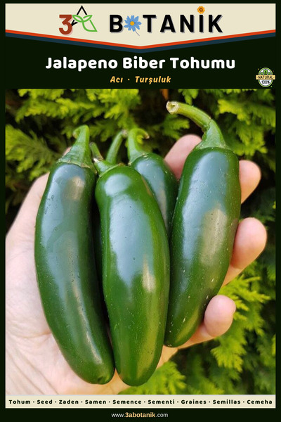 3A BOTANİK Jalapeno Biber Tohumu, Turşuluk Biber Çeşidi, 1 Gram/120-150 Adet ...