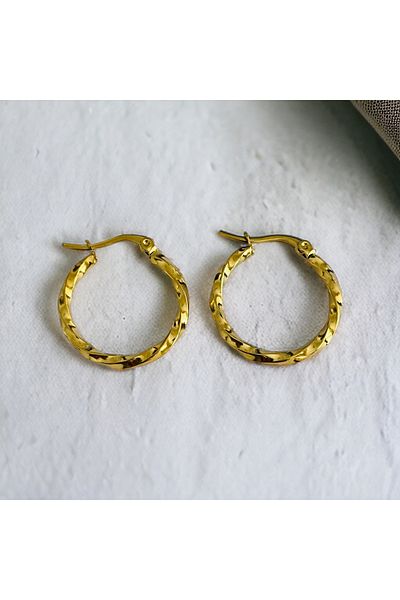Hoop jewelery Earrings Steel Twist