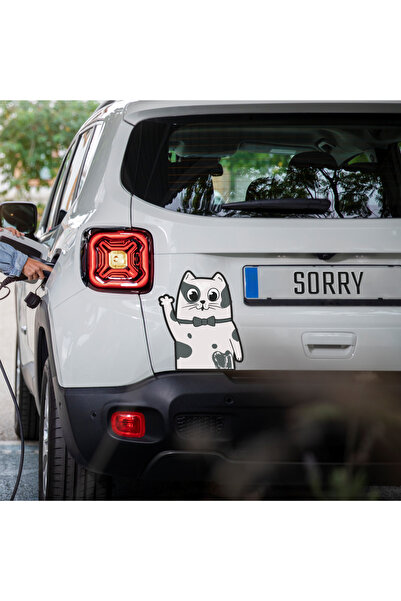 SbtStore Kedi Sticker, Arabadan Bakan Kedi Siticker, Araba Sticker