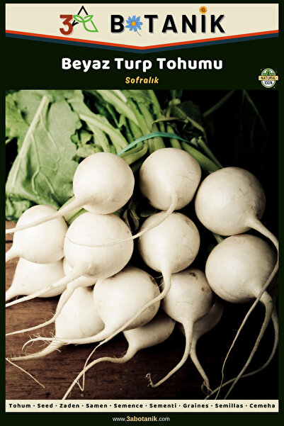 3A BOTANİK Beyaz Turp Tohumu, 3 Gram/300-360 Adet Tohum