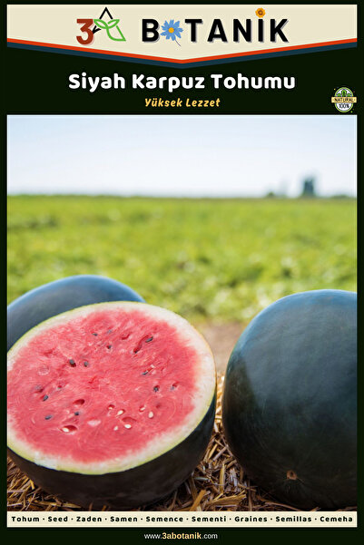 3A BOTANİK Siyah Karpuz Meyveleri Yuvarlak Aroması Güzel Karpuz Çeşidi, 2 Gra...