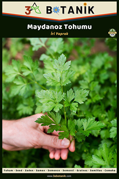 3A BOTANİK Iri Yaprak Maydanoz Tohumu, Yerli Ve Sürdürülebilir Tohum
