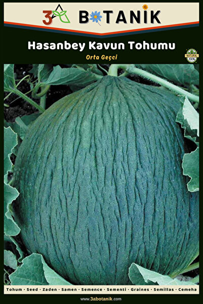 3A BOTANİK Hasanbey Kavun Tohumu, Yerli Ve Sürdürülebilir Tohum