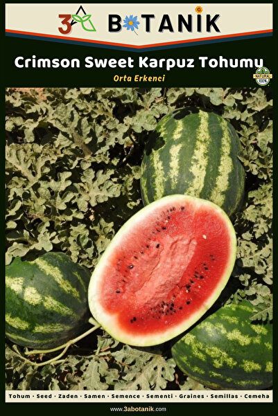 3A BOTANİK Crimson Karpuz Tohumu, 2 Gram/25-50 Adet Tohum