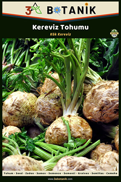 3A BOTANİK Kereviz Tohumu, 2 Gram/440-500 Adet Tohum
