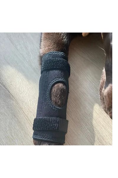 BELLFLEKSS Flexible Piece Bandage for Dogs 1 Piece