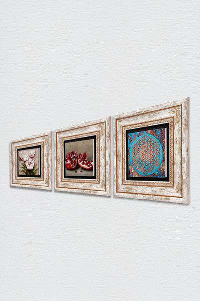 Pinecone Floarea vieții, Floarea Fluturei, Pictură pe perete din piatră de rodie Decor de perete înrămat Set de picturi din 3 piese TK3-1250