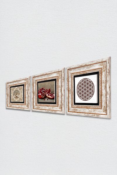 Pinecone Flower of Life, Tree of Life, Pomegranate Stone Wall Painting Framed Wall Decor 3 Piece Painting Set Tk3-925