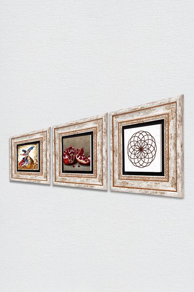Pinecone Flower of Life, Whirling Dervish, Pomegranate Stone Wall Painting Framed Wall Decor 3 Piece Painting Set Tk3-873