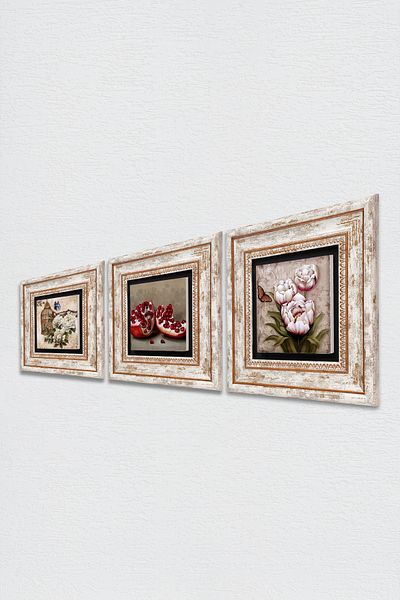 Pinecone Flower with Butterfly, Pomegranate Stone Wall Painting Framed Wall Decor 3 Piece Painting Set Wall Art Tk3-1081