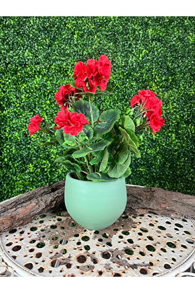 MK Yapay Sakız Sardunya Mint Yeşili Çömlek Saksıda