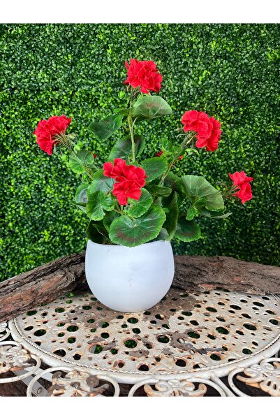 MK Yapay Sakız Sardunya Beyaz Çömlek Saksıda