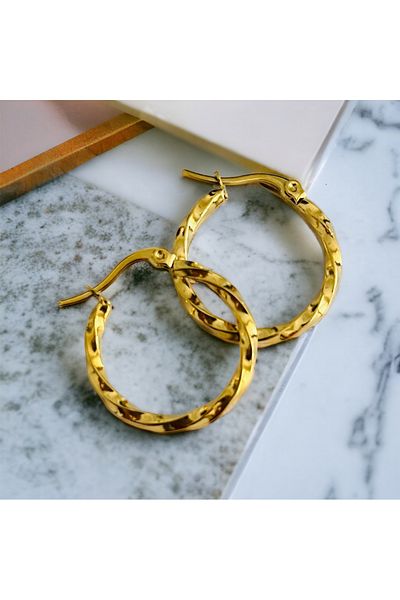 Hoop jewelery Earrings Steel Twist