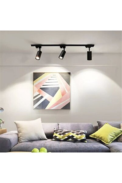 fullreyon Beyaz Işık 30 Watt, Birinci Sınıf Siyah Kasa Ray Spot (RAY HARİÇ, B...