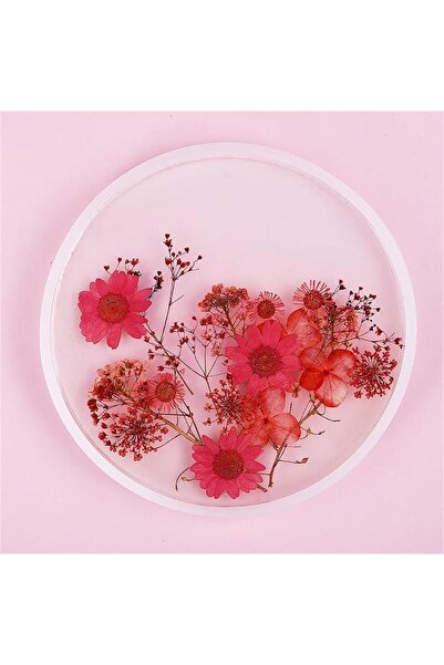 Hobizubi Reçine Epoksi Yuvarlak Tepsi Kalıp 30 cm - T15