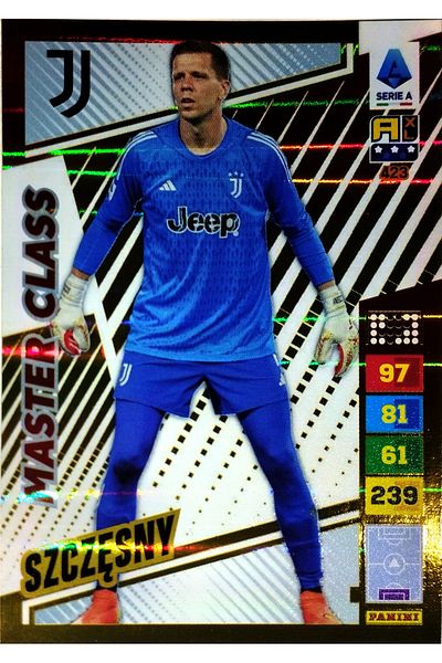 Panini SZCZESNY MASTER CLASS CARD