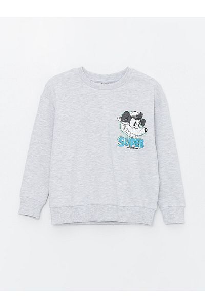 LC Waikiki Boy - Crew Neck and Printed Long Sleeve T-Shirt
