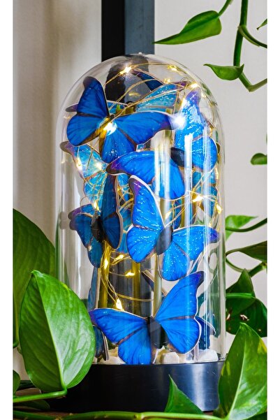 BYSHOPPİNG Mavi Kelebek Fanusu Peri Led Işıklı Taş Tasarımlı Işıklı Fanus Sev...