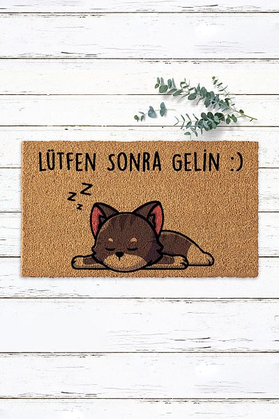 Paspas Yap Please After the Bride Cat Humorous Door Mat Koko Mat Bristle Mat Written Mat