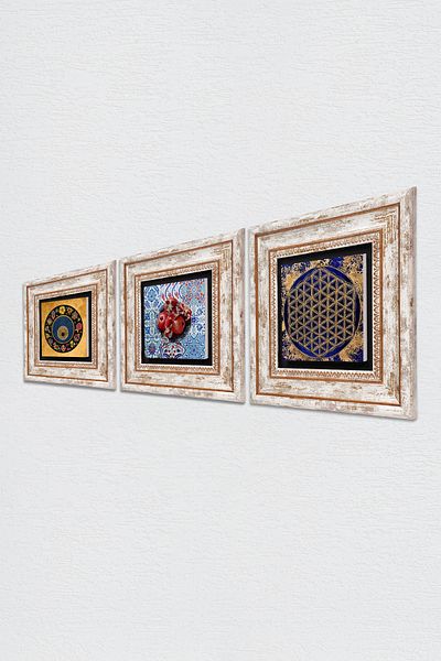 Pinecone Flower of Life, Evil Eye Bead, Pomegranate Stone Wall Painting Framed Wall Decor Set of 3 Painting Tk3-353