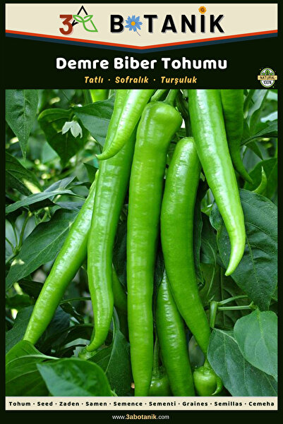 3A BOTANİK Demre Biber Tohumu Meyvesi Kalın Etli Ve Parlak Biber Çeşidi 2 gr/...