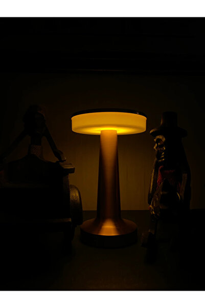 ARMA ELEKTRİK Oslo Şarjlı Dokunmatik Masa Lambası