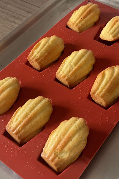 PASTRY PLANET قالب كيك سيليكون من مادلين