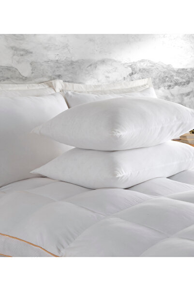 Nakkısh Nonwovem Silikon 2 Adet Yastık