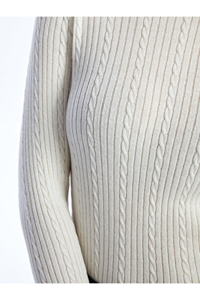 LC Waikiki Bisiklet Yaka Kendinden Desenli Uzun Kollu Kadın Triko Kazak