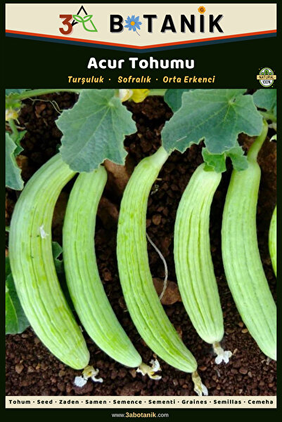 3A BOTANİK Acur Tohumu, Yerli Ve Sürdürülebilir Tohum, 2 gram Acur Tohumu